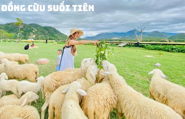 Tour Bình Hưng – Vĩnh Hy 2N2Đ: Khám phá thiên đường biển đảo, Tiệc hải sản, giá ưu đãi