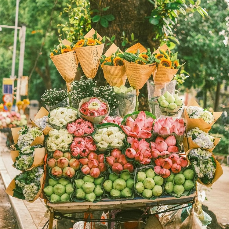 Mùa thu Hà Nội - Nét đẹp đặc trưng 4 mùa của thủ đô Mùa thu Hà Nội