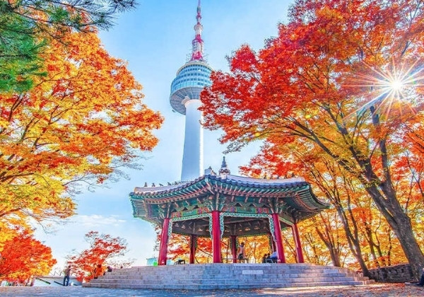 du kh&aacute;ch kh&aacute;m ph&aacute; H&agrave;n Quốc với nhiều trải nghiệm th&uacute; vị 