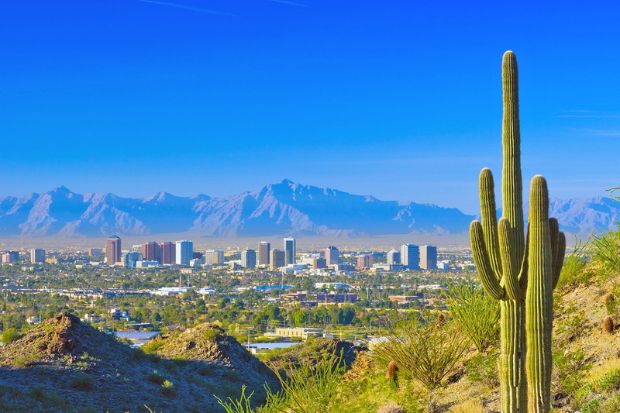 Phoenix giữa núi non và cây xương rồng saguaro đặc trưng Arizona Phoenix giữa núi non và cây xương rồng saguaro đặc trưng Arizona