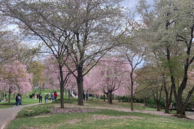 Branch Brook Park điểm đến nổi bật ở Newark