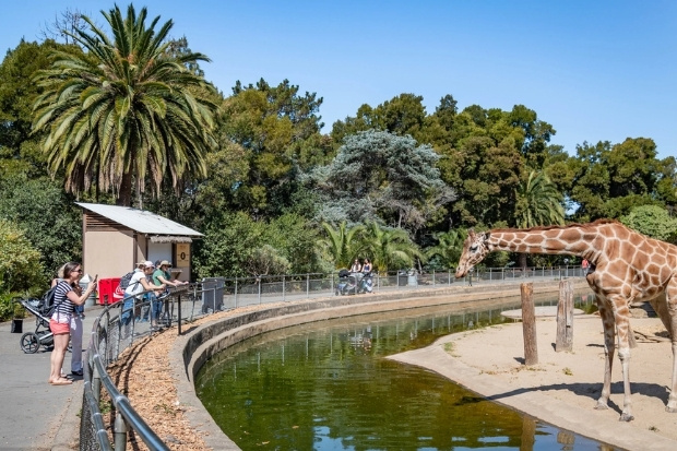 Vườn thú Oakland điểm đến nổi bật ở Oakland