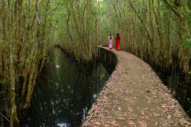Làng nổi Tân Lập