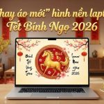 Hình nền laptop Tết 2026 Bính Ngọ và gợi ý du xuân đầu năm