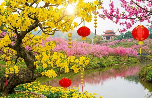 Hoa mai v&agrave;ng nở rực tr&ecirc;n nền trời xanh.