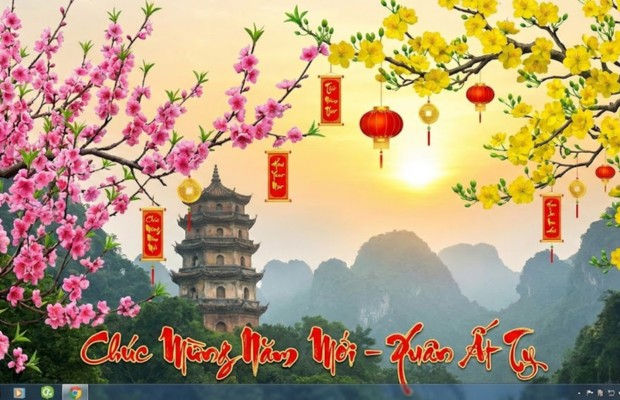 Cận cảnh c&aacute;nh đ&agrave;o hồng đọng sương sớm, nền mờ.