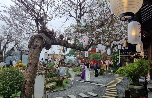 G&oacute;c chụp rộng to&agrave;n cảnh Ch&ugrave;a Từ T&acirc;m