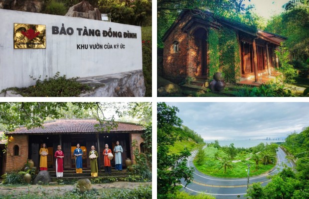 To&agrave;n cảnh Bảo t&agrave;ng Đồng Đ&igrave;nh Đ&agrave; Nẵng ẩn m&igrave;nh dưới t&aacute;n c&acirc;y xanh m&aacute;t b&aacute;n đảo Sơn Tr&agrave;