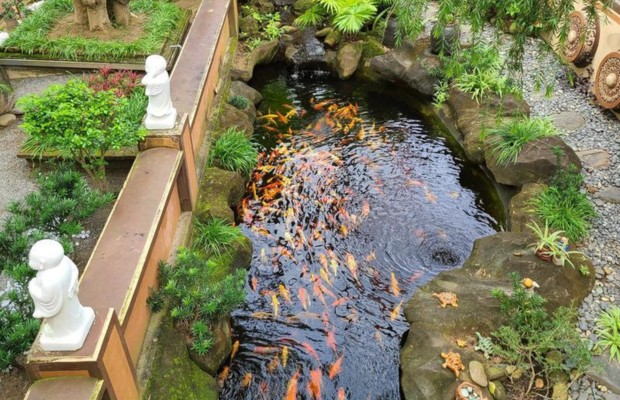 Hồ Ph&oacute;ng Sanh tại ch&ugrave;a nam sơn