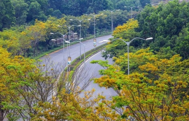 Cung đường B&agrave; N&agrave; - Suối Mơ rợp b&oacute;ng c&acirc;y xanh, lộ tr&igrave;nh ngắn nhất từ trung t&acirc;m Đ&agrave; Nẵng đến B&agrave; N&agrave; Hills