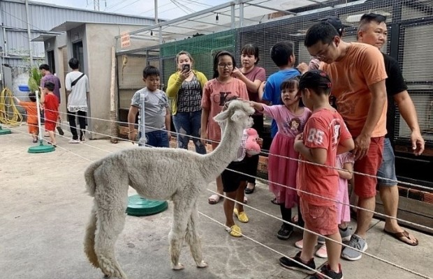 Vườn th&uacute; mini cho trẻ em tham quan v&agrave; trải nghiệm tại Song Long quận 9.