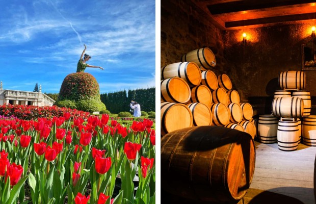 vườn hoa Le Jardin D'Amour v&agrave; hầm rượu debay