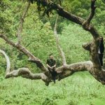 Kinh nghiệm khám phá Nhất Lâm Thủy Trang Trà chi tiết