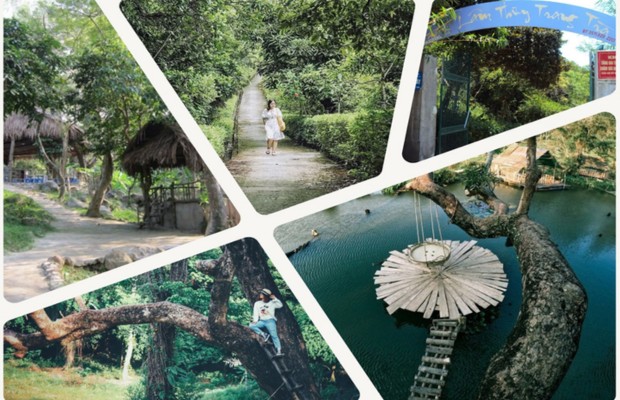 Rừng nhiệt đới nguy&ecirc;n sinh tại Nhất L&acirc;m Thủy Tr&agrave; Trang với hệ sinh th&aacute;i đa dạng, &iacute;t dấu vết b&ecirc; t&ocirc;ng