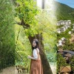 Lạc bước vào Vương quốc tre Sơn Trà Tịnh Viên Đà Nẵng