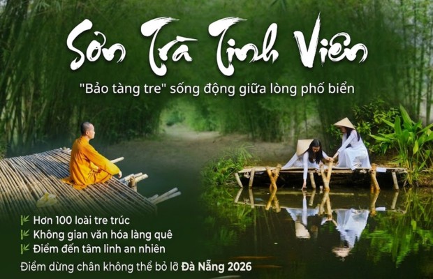 Sơn Tr&agrave; Tịnh Vi&ecirc;n Vương quốc tre xanh m&aacute;t giữa b&aacute;n đảo Sơn Tr&agrave;, Đ&agrave; Nẵng