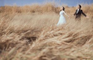 Trọn bộ kinh nghiệm khám phá Bãi Cỏ Cháy Đà Nẵng mới nhất