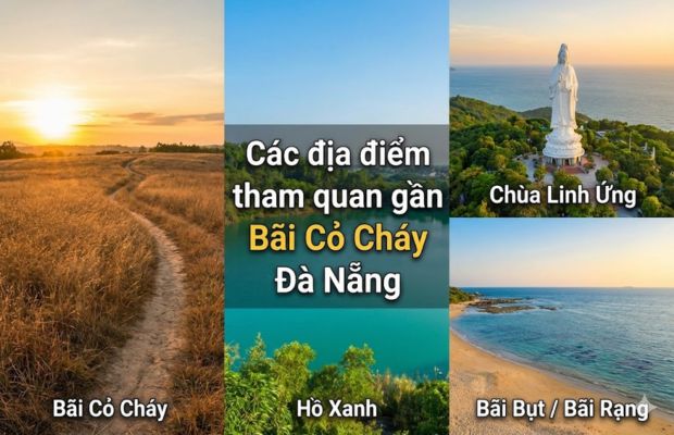 C&aacute;c địa điểm tham quan gần B&atilde;i Cỏ Ch&aacute;y Đ&agrave; Nẵng