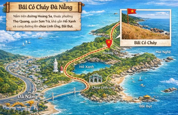 Vẻ đẹp hoang sơ l&atilde;ng mạn của B&atilde;i Cỏ Ch&aacute;y