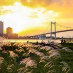 Kinh nghiệm săn hoàng hôn cầu Thuận Phước Đà Nẵng cực đỉnh 2026