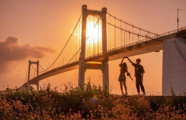 Cầu Thuận Phước Đ&agrave; Nẵng l&uacute;c ho&agrave;ng h&ocirc;n rực rỡ với b&atilde;i cỏ lau trắng v&agrave; view vịnh biển