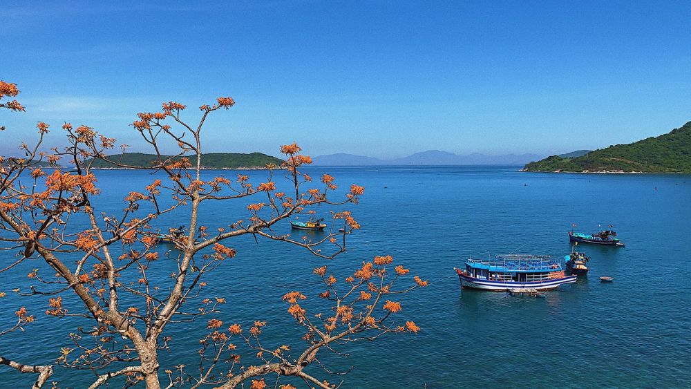 cu-lao-cham-tour-du-lich-da-nang Cù Lao Chàm nổi bật với nước biển trong xanh, tươi mát và hệ sinh thái biển phong phú