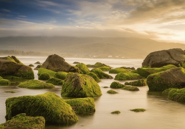 Biển Nam Ô Đà Nẵng: Tọa độ rêu phong tuyệt đẹp