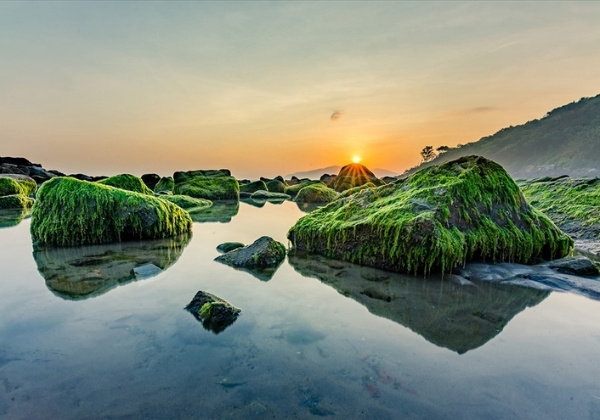 b&atilde;i biển nam &ocirc;