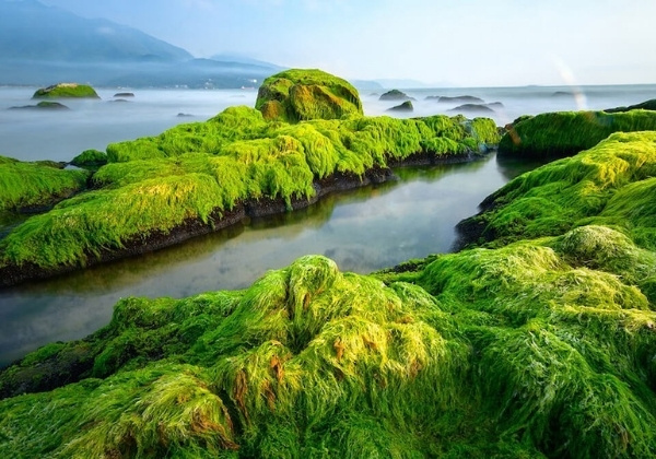 sắc r&ecirc;u kỳ ảo nam &ocirc;