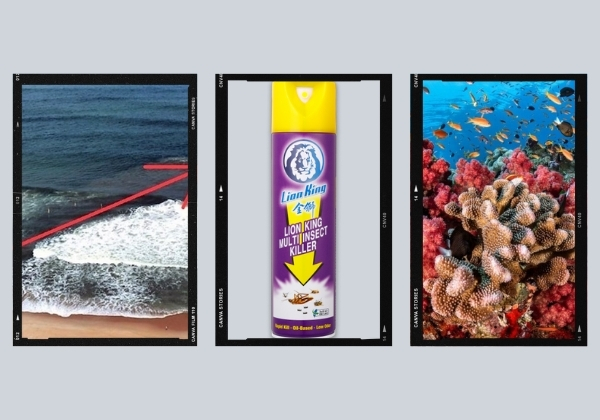 cẩm nang an to&agrave;n tại b&atilde;i đ&aacute; đen