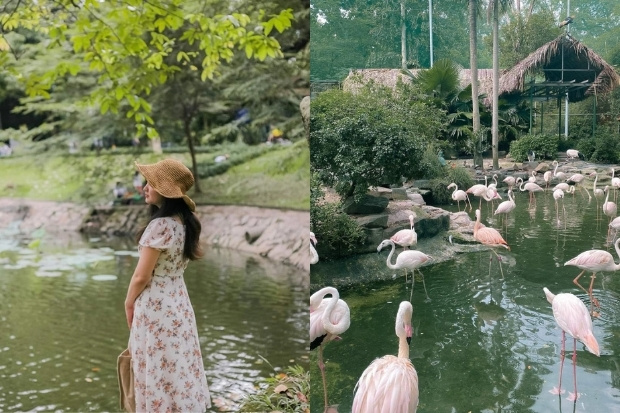 Những g&oacute;c check-in tuyệt đẹp giữa kh&ocirc;ng gian xanh m&aacute;t v&agrave; vườn hồng hạc thơ mộng