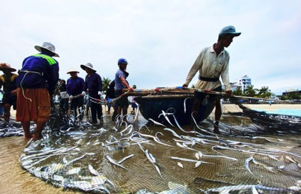 chợ nam &ocirc; đ&agrave; nẵng
