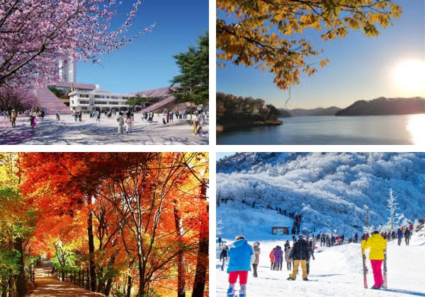 4 m&ugrave;a r&otilde; rệt của cheongju