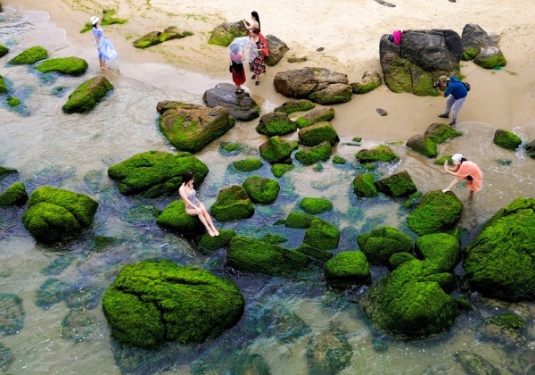 B&atilde;i đ&aacute; phủ r&ecirc;u xanh mướt tại Rạn Nam &Ocirc; Đ&agrave; Nẵng v&agrave;o m&ugrave;a xu&acirc;n