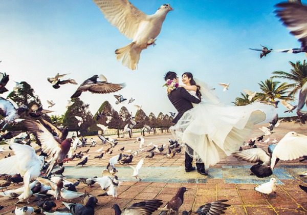 Đ&agrave;n chim bồ c&acirc;u tung c&aacute;nh tại C&ocirc;ng vi&ecirc;n Biển Đ&ocirc;ng Đ&agrave; Nẵng &ndash; g&oacute;c check-in đậm chất ch&acirc;u &Acirc;u