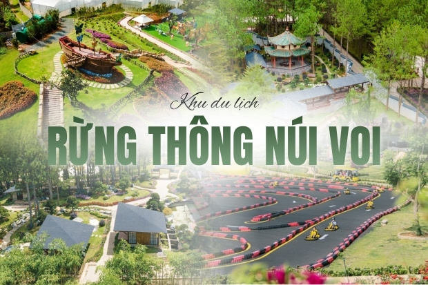Khu du lịch Rừng Th&ocirc;ng N&uacute;i Voi ở Đ&agrave; Lạt, một điểm đến sinh th&aacute;i mới nổi với cảnh quan thi&ecirc;n nhi&ecirc;n v&agrave; c&aacute;c hoạt động giải tr&iacute;