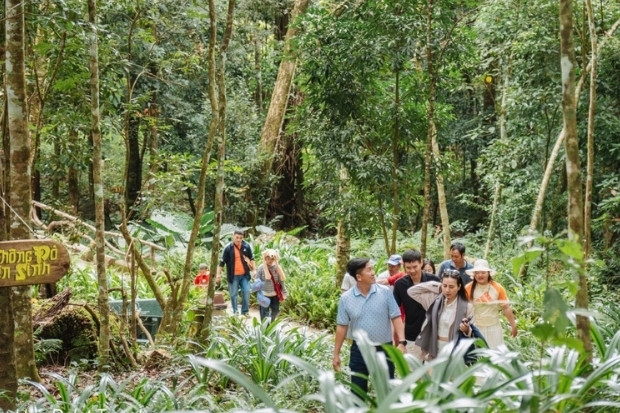 Kh&aacute;m ph&aacute; vẻ đẹp hoang sơ của quần thể rừng th&ocirc;ng đỏ nguy&ecirc;n sinh cổ thụ tại hệ sinh th&aacute;i&nbsp;Rừng Th&ocirc;ng N&uacute;i Voi&nbsp;