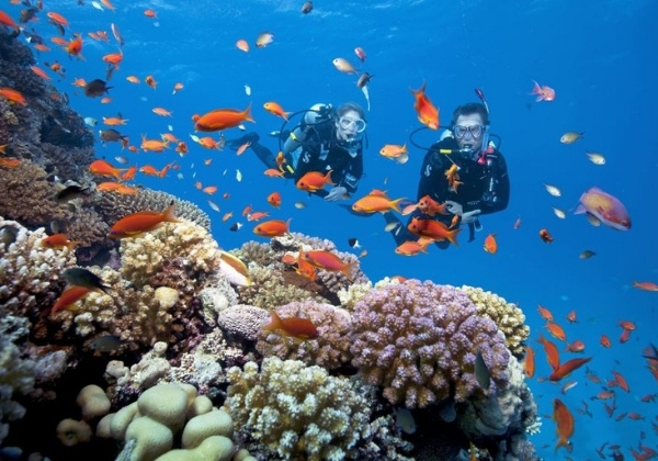 c&aacute;c tr&ograve; chơi dưới nước b&atilde;i rạng