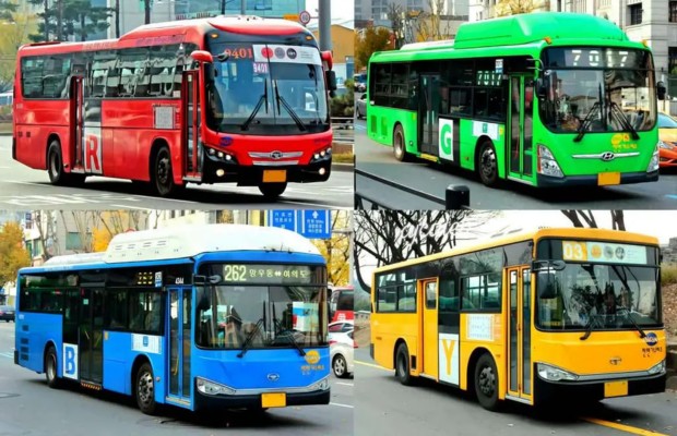Ph&acirc;n biệt c&aacute;c loại xe bus theo m&agrave;u sắc