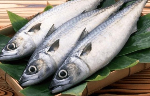 C&aacute; thu tươi ngon