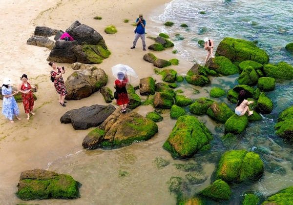 Những tảng đ&aacute; phủ r&ecirc;u xanh mướt tại Rạn Nam &Ocirc; Đ&agrave; Nẵng