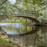 Vẻ đẹp thơ mộng tại Công viên Charles River Esplanade