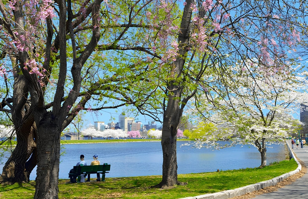 Tiện &iacute;ch tại C&ocirc;ng vi&ecirc;n Charles River