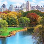 Công viên Trung tâm New York: Cẩm nang khám phá chi tiết từ A-Z