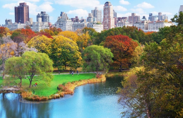 Công viên Trung tâm New York: Cẩm nang khám phá chi tiết từ A-Z