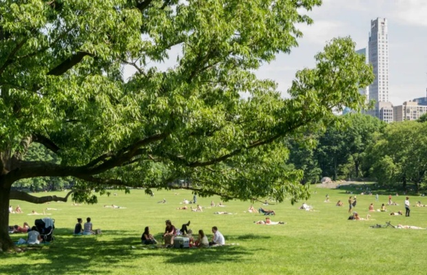 Hoạt động giải tr&iacute; tại c&ocirc;ng vi&ecirc;n trung t&acirc;m ở New York