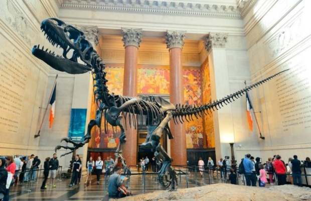 Bảo t&agrave;ng lịch sử tự nhi&ecirc;n Hoa Kỳ - nơi sở hữu bộ sưu tập xương khủng long khổng lồ

