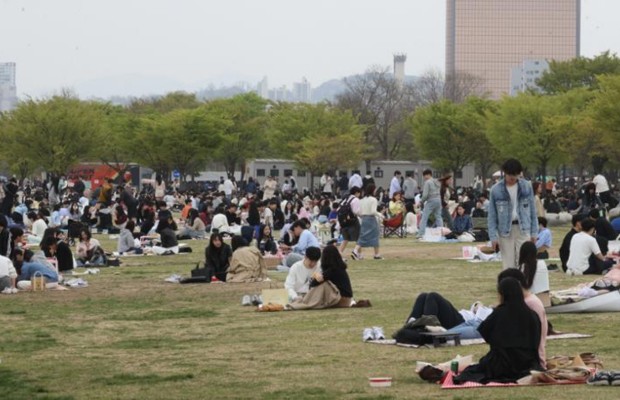 Picnic v&agrave; dạo bộ ngắm hoa anh đ&agrave;o