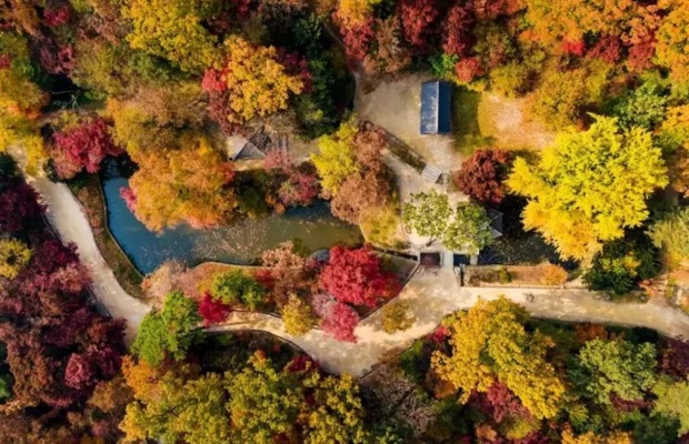 Ao Buyongji v&agrave; đ&igrave;nh Buyongjeong tại Khu vườn b&iacute; mật Huwon cung điện Changdeokgung