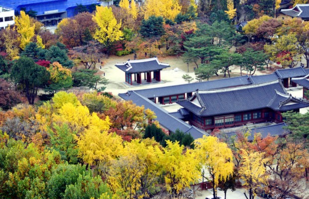 Khung cảnh cung điện Deoksugung m&ugrave;a thu nhuộm v&agrave;ng sắc l&aacute; ng&acirc;n hạnh